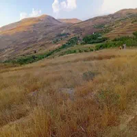 زمین-کشاورزی