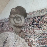 تندیس کله قوچ|کلکسیون اشیاء عتیقه|رباطکریم, الارد|دیوار