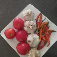 رب گوجه|خوردنی و آشامیدنی|شیراز, شاپورجان|دیوار
