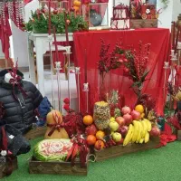 تالار کوچک ۲سالن ۸۰نفره محضر  سالن عقد  یلدا  تولد