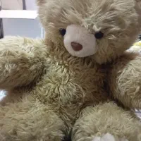 عروسک نو|کلکسیون و سرگرمی|ایوان, |دیوار