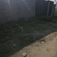 زمین مسکونی لاهیجان پروانه ساخت ویو ابدی|فروش زمین و ملک کلنگی|لاهیجان, بوجایه|دیوار