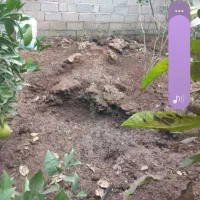 فروش خاک باغچه کود حیوانی خاک برگ....|خدمات باغبانی و درختکاری|چاف و چمخاله, |دیوار