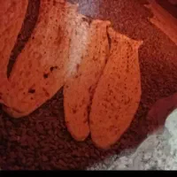 نانوایی سنگک سنتی خراسان رضوی شهرستان قوجان