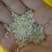 برنج ایرانی درجه یک|خوردنی و آشامیدنی|میاندوآب, |دیوار