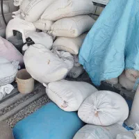 فروش جوگندم درخدمت دام داران هستیم