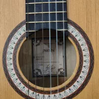 گیتار کلاسیک پارسی مدل m2
