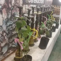 نیرو جهت نان زدن(شاتر)