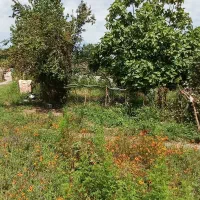 فروش زمین مسکونی کلیمان