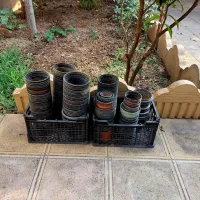 گلدان نشایی|گل و گیاه طبیعی|مینودشت, |دیوار