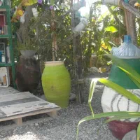 گل کاری و حرس کاری