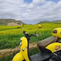 فروشی