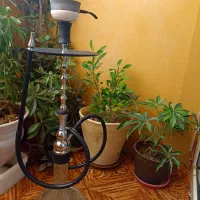 قلیون نو قیمت توافقی