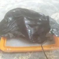 هیزه جا روغن حیوانی