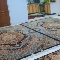 اجاره خانه|اجارهٔ آپارتمان|تهران, شکوفه (عبدل آباد)|دیوار