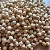 عدس|خوردنی و آشامیدنی|تهران, بازار|دیوار