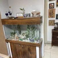 آکواریوم شیشه خم سالم