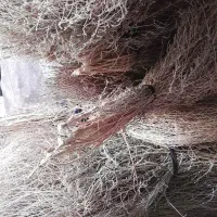 جارو درجه بک برای تمیزی و پاکیزگی با زحمت فراوان