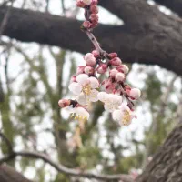 عکس فیلم، ادیتت با من با کمترین هزینه