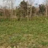 فروش زمین بر خیابان اصلی