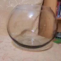 اکواریم گرد.