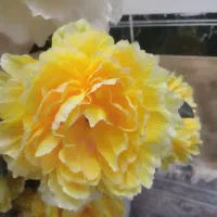 گل مصنوعی 3شاخه بزرگ همراه گلدان|گل مصنوعی|جوانرود, |دیوار