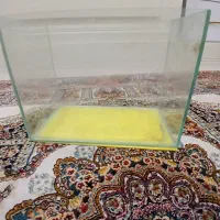 اکواریوم فوری|ماهی|تهران, نبی اکرم|دیوار