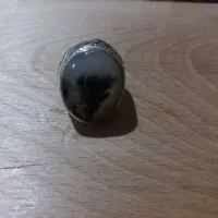 انگشتر شجر فاخر
