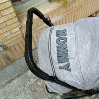 کالسکه دلیجان|کالسکه و لوازم جانبی|اصفهان, مولوی|دیوار