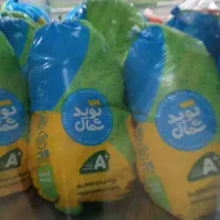 فروش مرغ تازه و روز در رودباری