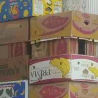 کارتون موزی  سالم