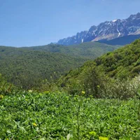 زمین ۵۰۰متری ییلاقی در دهکده زیبای ورپی)آلپ ایران(|فروش زمین و ملک کلنگی|پل سفید, |دیوار