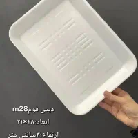 فروش دیس فوم غذا