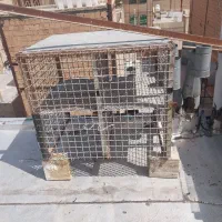 جفت کن آهنی|لوازم جانبی حیوانات|نسیم‌شهر, |دیوار