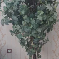 درختچه ی انگور مصنوعی