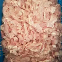 بچه فیله