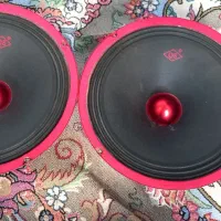 یک جفت میدرنج QS سایز ۱۰ درحد