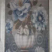 پرده زبرا درحدنو