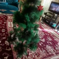 درختچه ی کریسمس