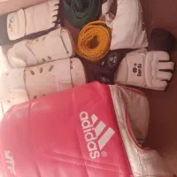 هوگو تکواندو حرفه ای