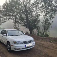 ماکسیما ۸۱ سفید|خودرو سواری و وانت|تهران, شیخ هادی|دیوار