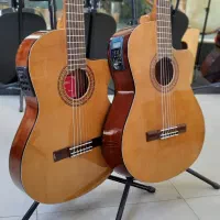 گیتار آموزشی و حرفه ای