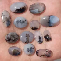 شجر قائن اصل