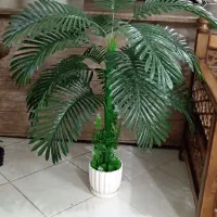 نخل شامادورا مصنوعی