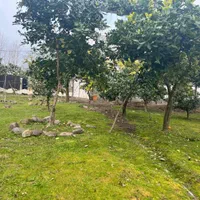 ویلا دوخوابه حیاط دار درمسیر آبشارویسادار|اجارهٔ کوتاه‌مدت ویلا و باغ|پره‌سر, |دیوار