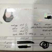 یک عدد شناسنامه پیدا شده