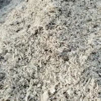 تفاله چغندر