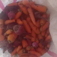 چغندر شلغم هویج خوراک گاو گوسفند|لوازم جانبی حیوانات|اصفهان, بوستان ناژوان|دیوار