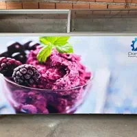 فریزر بستنی ۶۰۰لیتری|یخچال و فریزر|گنبد کاووس, |دیوار