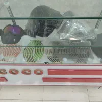 اکسسوری موتور|قطعات یدکی و لوازم جانبی|خرم‌آباد, |دیوار